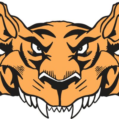 AR5 Tiger 07 RQC Thumbnail